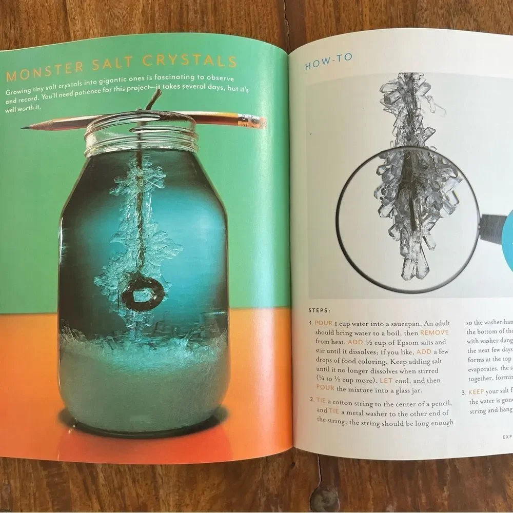 Martha Stewart Colorful Crafts for Kids Book Recipes Ideas Projects